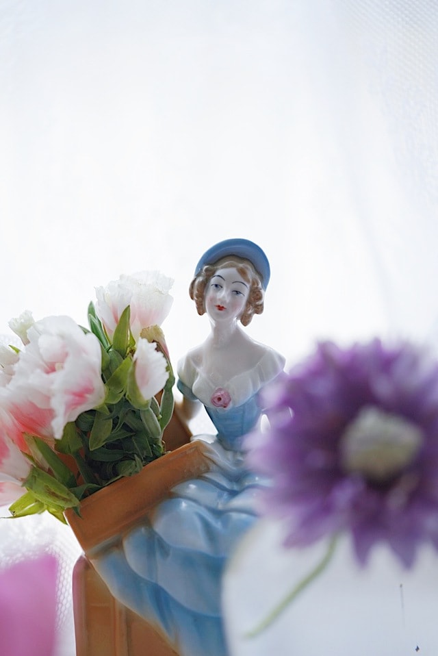 still-life-flower-plant-cut-flowers-bouquet 图片素材