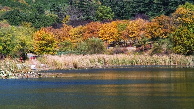 autumn-natural-landscape-nature-body-of-water-bank picture material