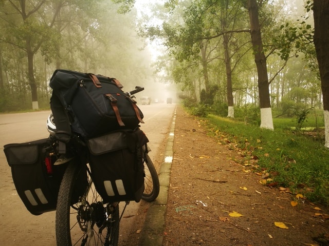 tree-road-recreation-land-vehicle-no-person picture material