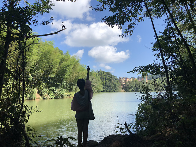 lake-water-tree-landscape-river 图片素材