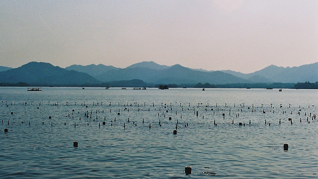 西湖 picture material