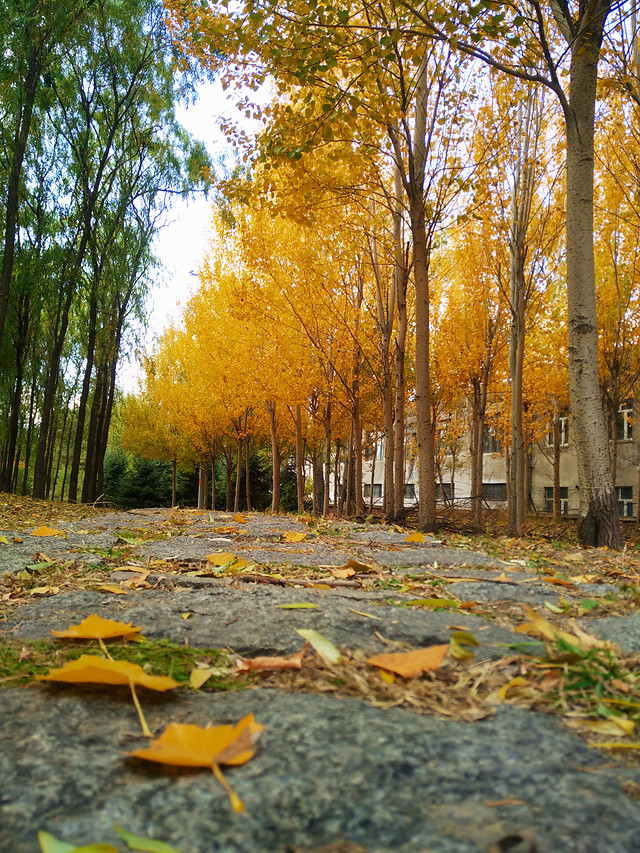 abstract-desktop-art-color-light 图片素材