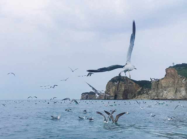 大连的海 图片素材