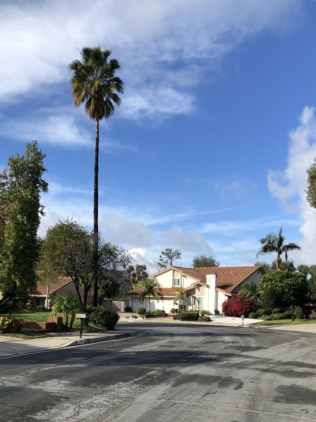 sky-cloud-tree-residential-area-palm-tree picture material