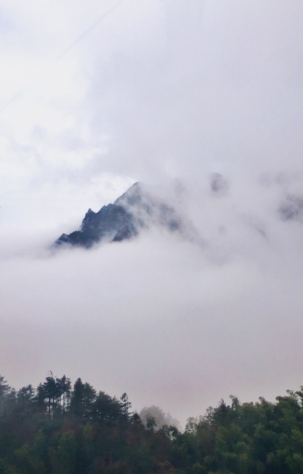 sky-fog-mountain-mist-tree picture material
