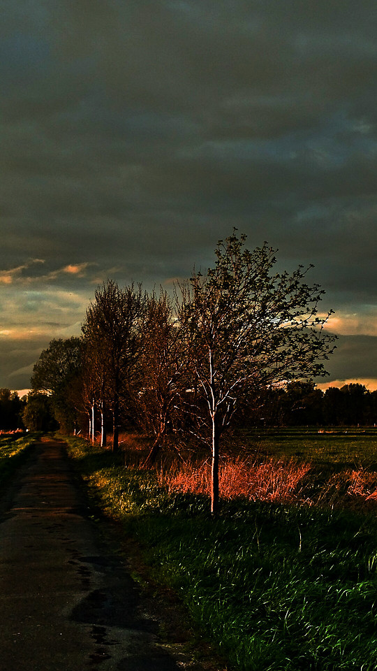 wendland-impressionen 图片素材