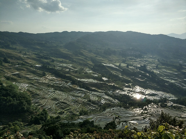 红河哈尼梯田 图片素材