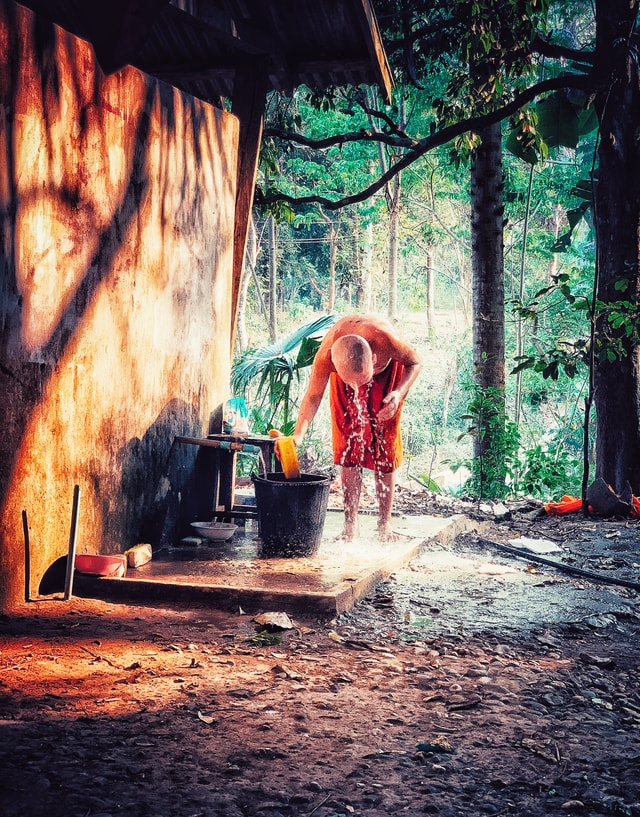 polyester-natural-environment-tree-sky-heat 图片素材