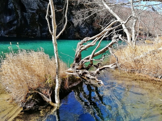 changbai-mountain 图片素材