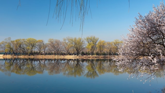 natural-landscape-nature-reflection-water-tree 图片素材