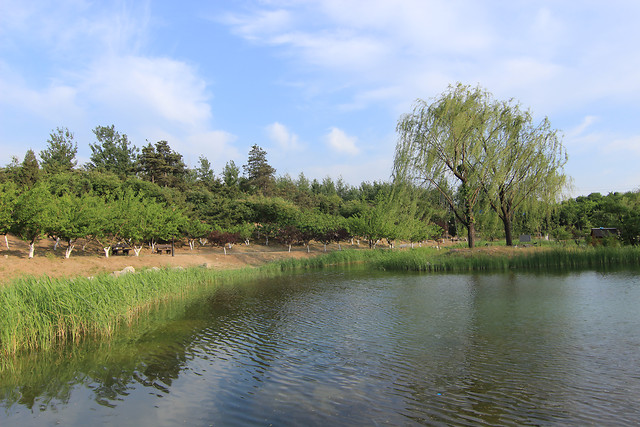 风景 图片素材