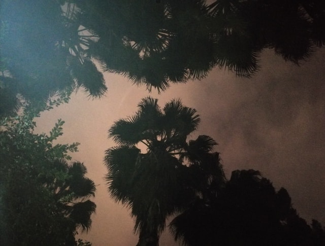 sky-tree-cloud-atmospheric-phenomenon-night 图片素材