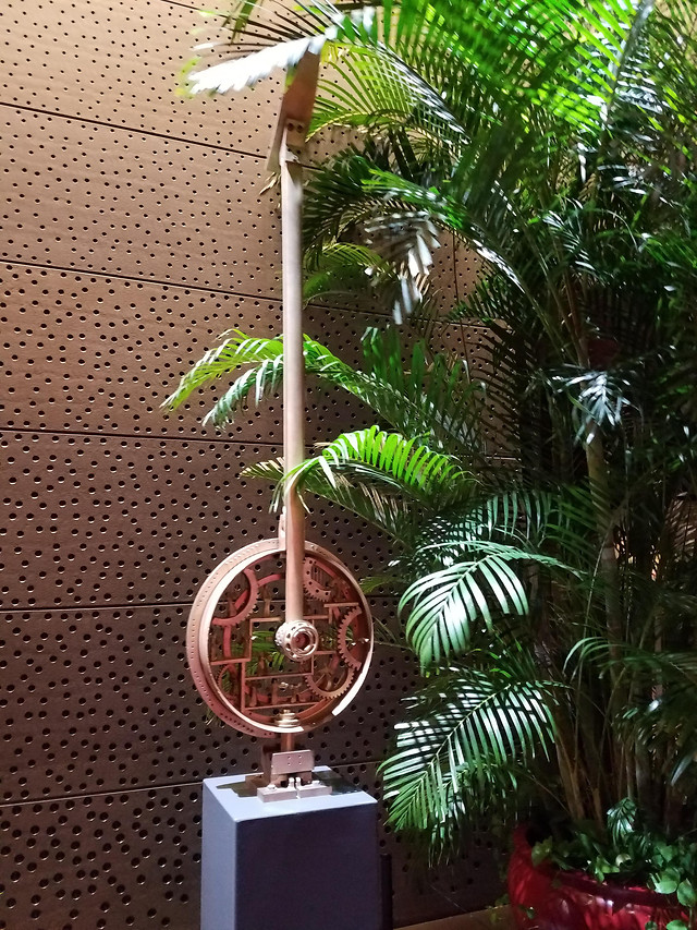 no-person-palm-tropical-tree-plant 图片素材
