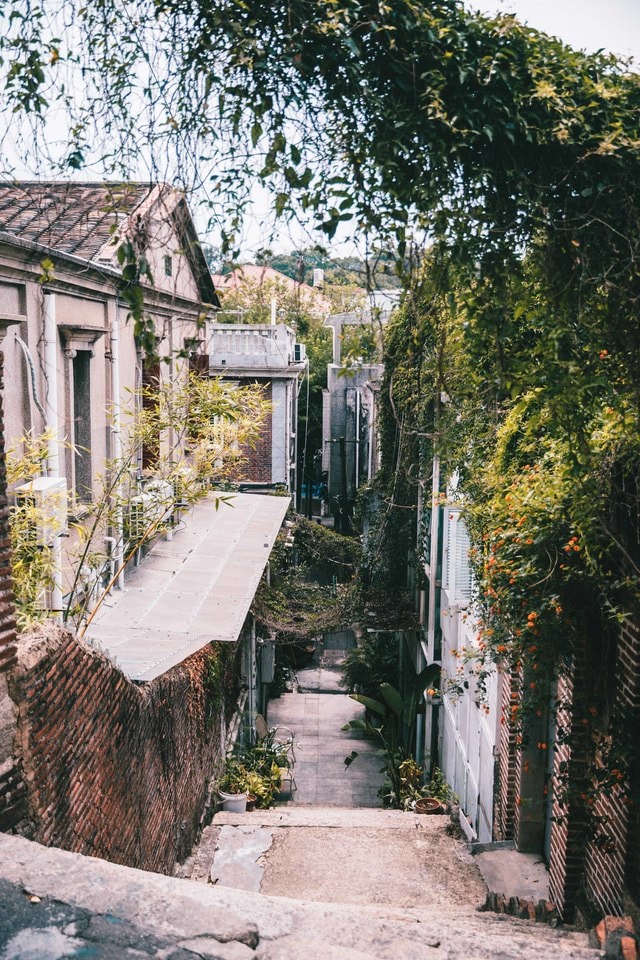 gulangyu-street-building-tree-town 图片素材