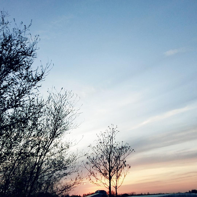 no-person-dawn-nature-sky-tree 图片素材