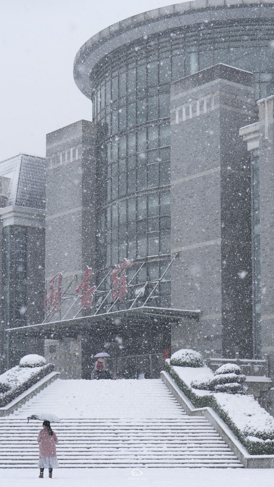 snow-blizzard-winter-storm-winter-metropolitan-area 图片素材