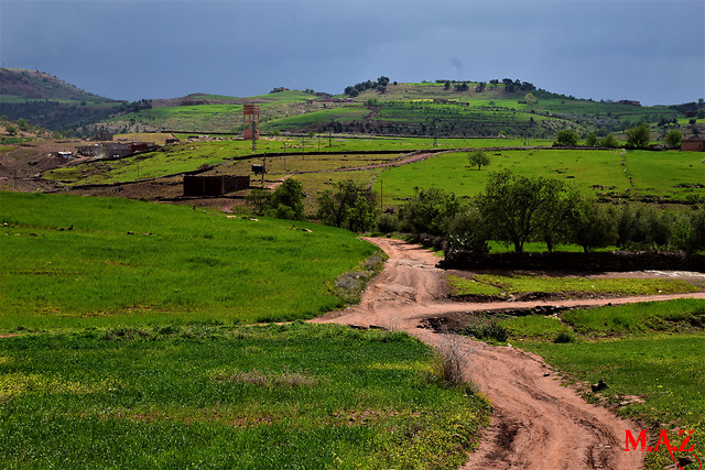 green-natural-landscape-grassland-road-pasture picture material