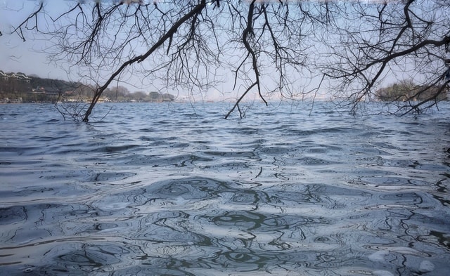 water-tree-winter-sky-ice 图片素材