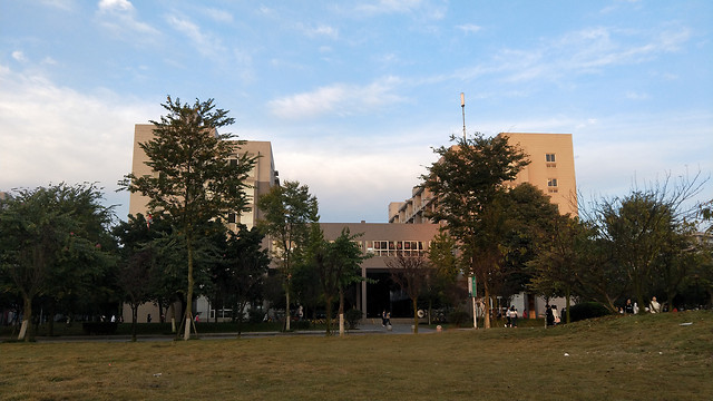 tree-architecture-building-no-person-city 图片素材