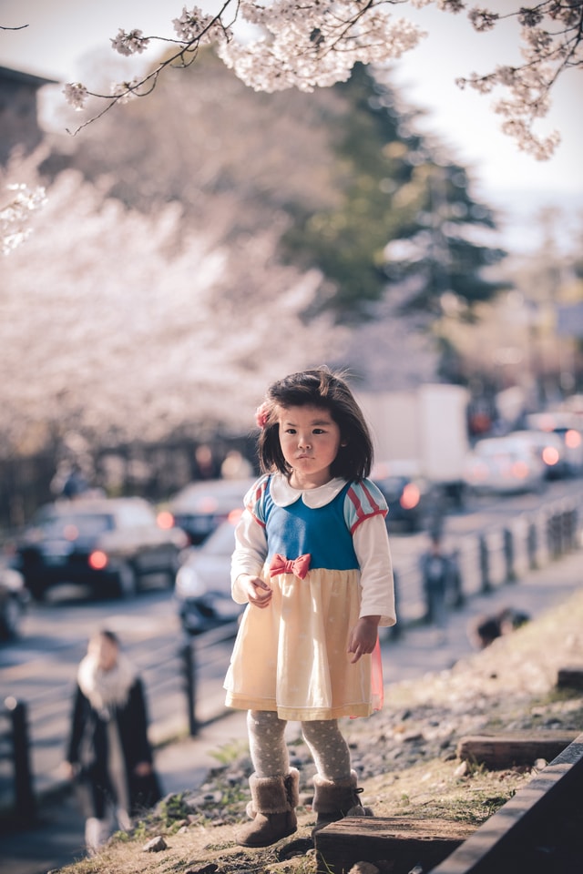 little-cute-photograph-snapshot-flower-photography 图片素材
