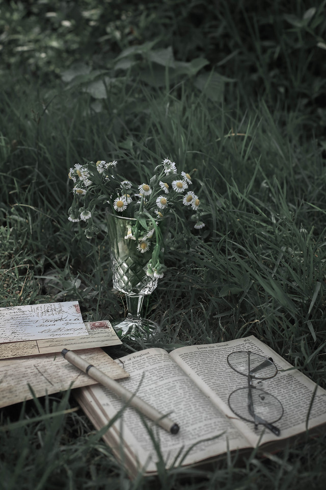 grass-leaf-tree-flower-nature 图片素材