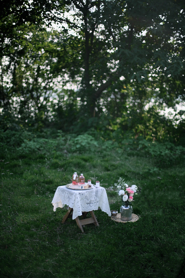 nature-grass-tree-flower-leaf 图片素材