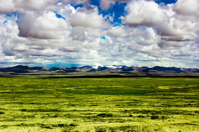 grassland-sky-natural-landscape-nature-natural-environment 图片素材