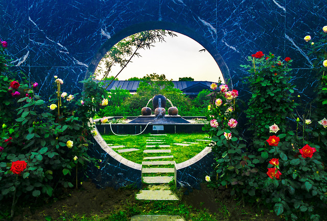 nature-green-tree-no-person-travel 图片素材