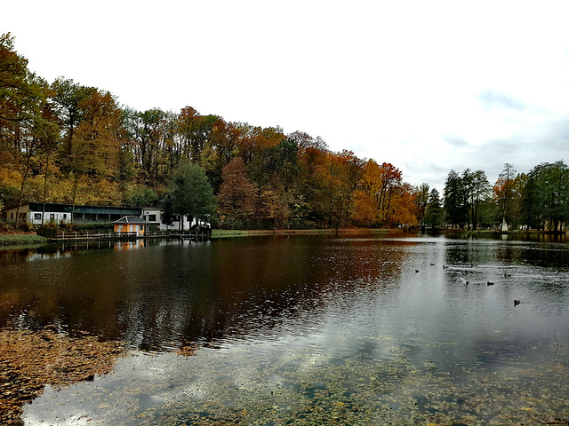 fall-water-lake-tree-reflection 图片素材