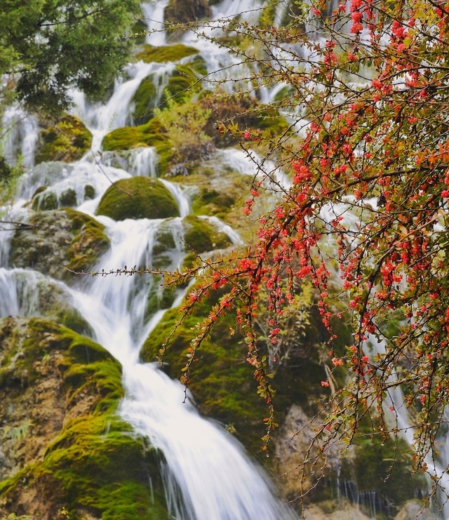 jiuzhaigou-waterfall picture material