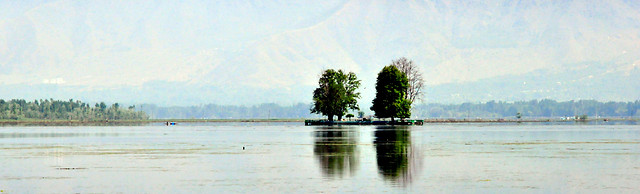 water-tree-nature-lake-landscape picture material