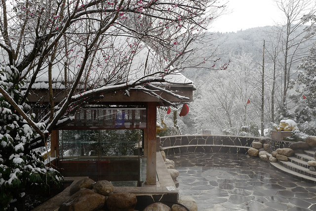 winter-tree-no-person-snow-landscape 图片素材