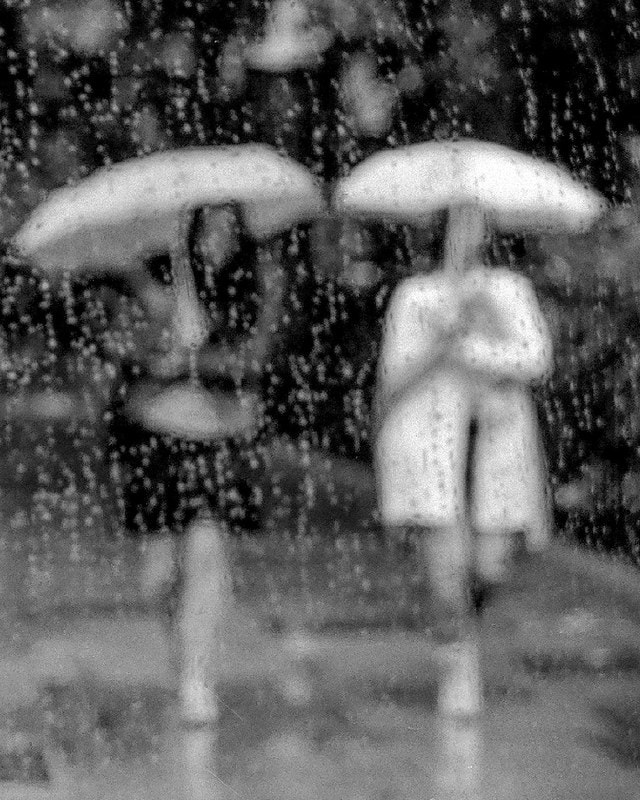 black-and-white-rain-monochrome-girl-people picture material