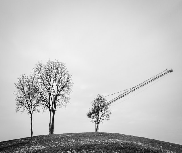 white-tree-sky-black-and-white-monochrome-photography picture material