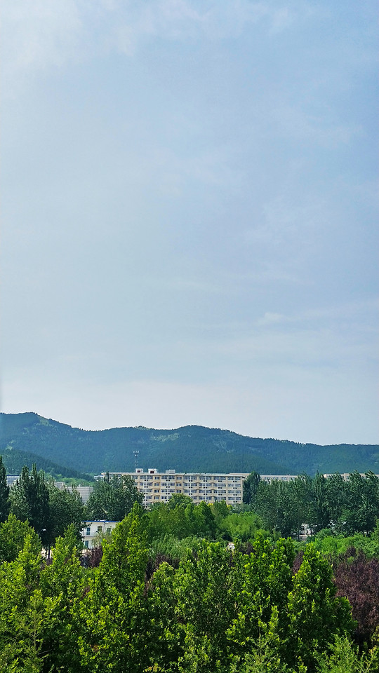 sky-nature-no-person-landscape-tree 图片素材