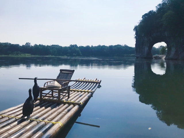 water-reflection-lake-river-tree picture material