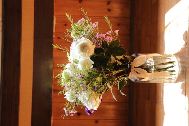 balloon-flower 图片素材