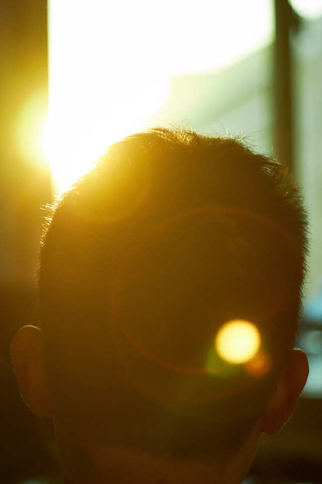 yellow-light-backlighting-sunlight-sun 图片素材
