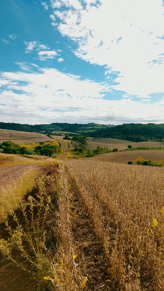 no-person-landscape-sky-agriculture-outdoors 图片素材