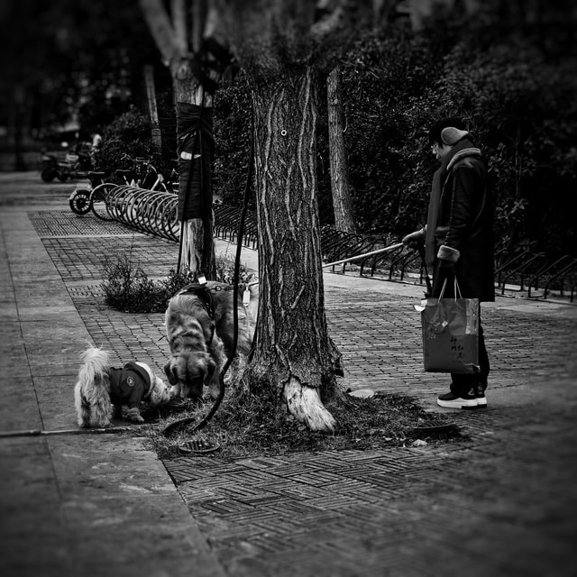 walking picture material