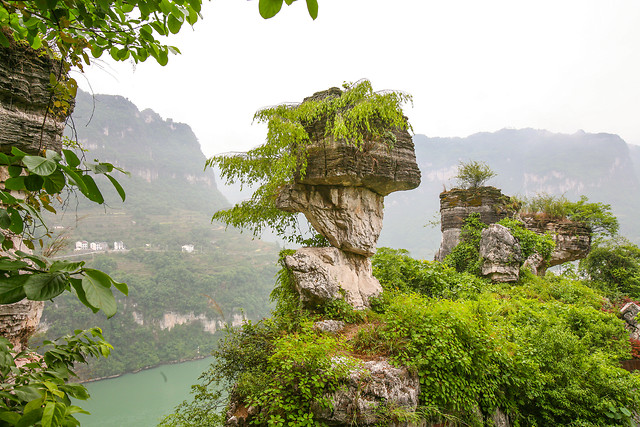 nature-travel-summer-stone-vegetation 图片素材