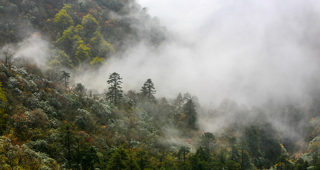 云雾缭绕 picture material