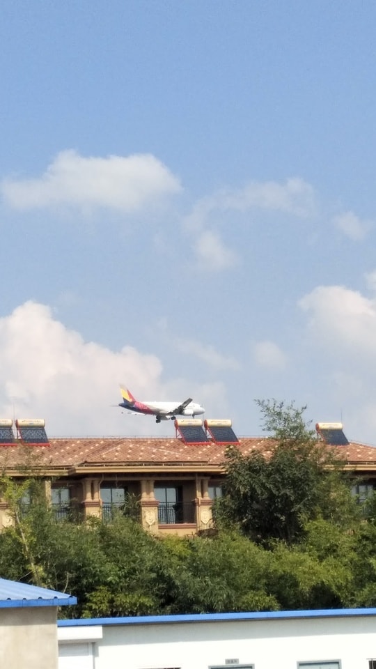 sky-cloud-roof-airplane-tree 图片素材