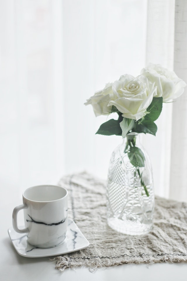 flower-rose-white-still-life-photography-cut-flowers 图片素材