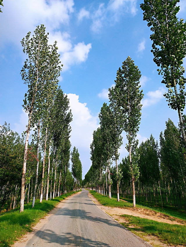 乡路 picture material