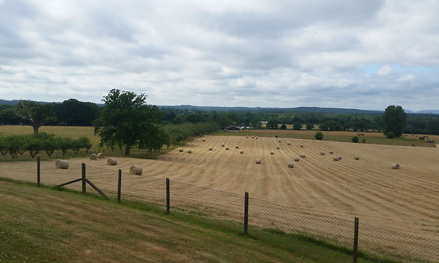 hampshire-countryside 图片素材