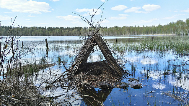lake-water-reflection-landscape-nature 图片素材