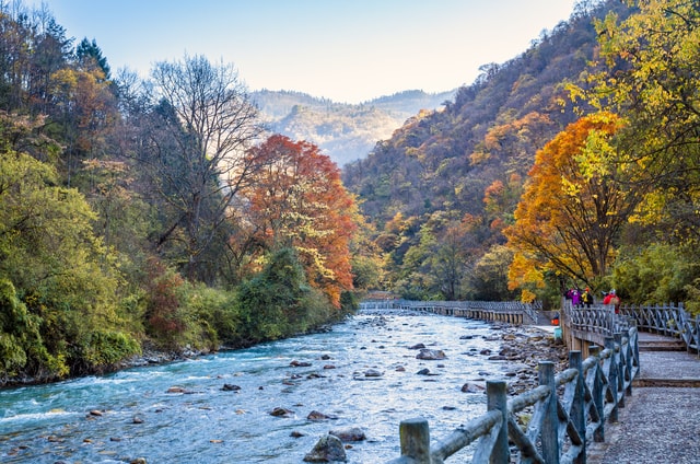 autumn-rhyme-river-natural-landscape-nature-tree-water 图片素材