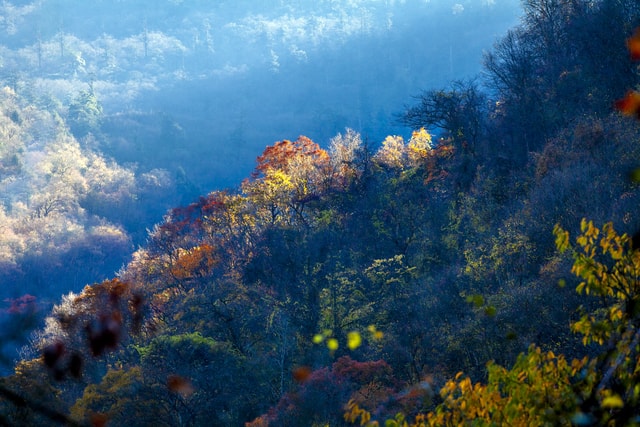 autumn-rhyme-river picture material