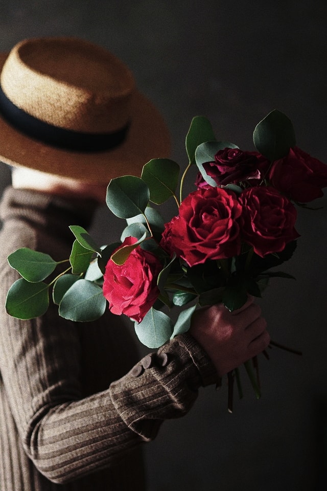 flower-rose-flora-petal-still-life 图片素材